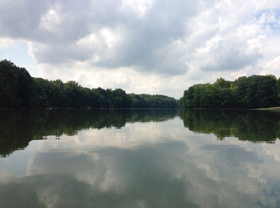 Tall green trees in the distance reflected into a flat lake.