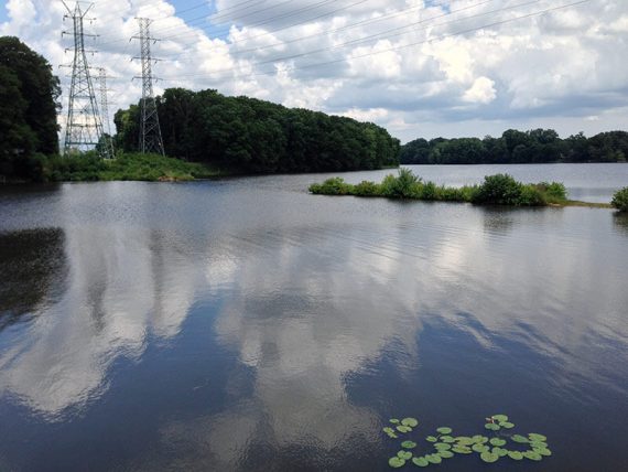 Tall power lines next to a lake.