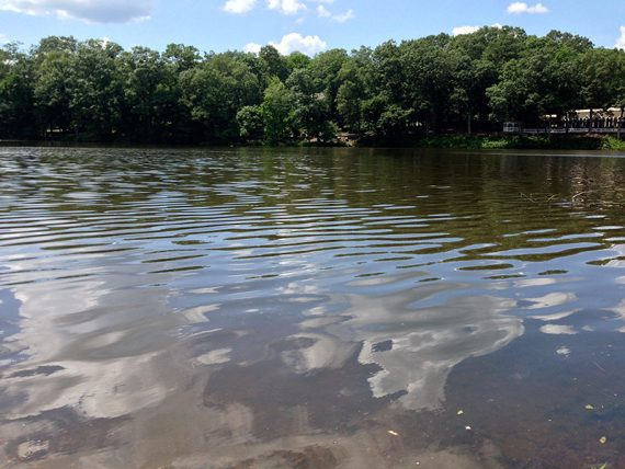 Rippled water of Farrington Lake.