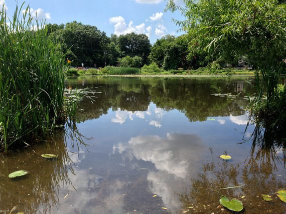 Shallow kayak launch area surrounded by tall grasses.