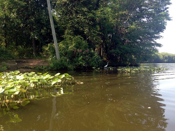 Carnegie Lake