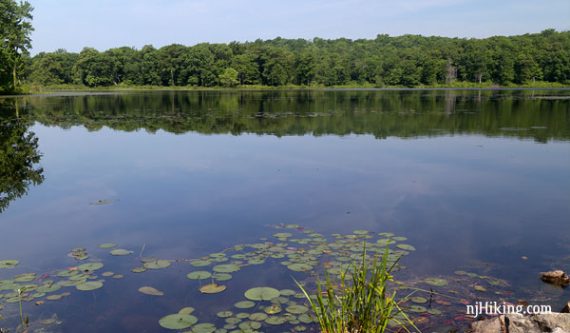 Allamuchy Mountain - Deer Park Pond