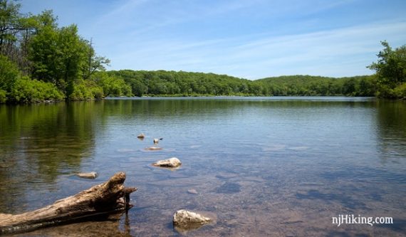 Sunfish Pond