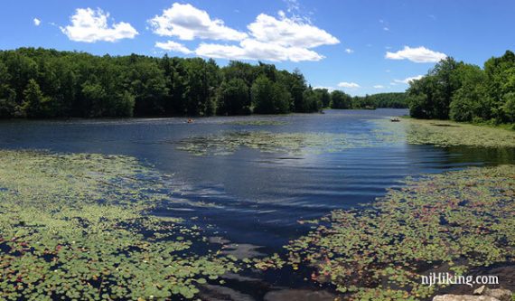 Wawayanda Lake - Pumphouse Trail