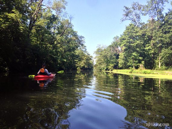 Kayaker on a calm canal surrounded by trees.
