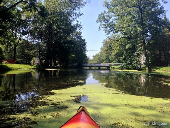 Kayak on a canal with algae in the water.