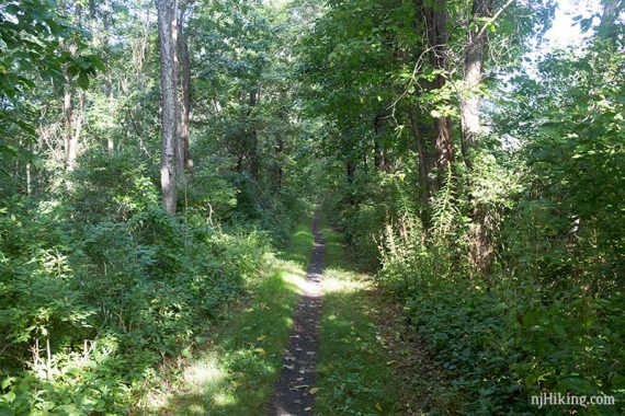 Paulinskill Valley Trail