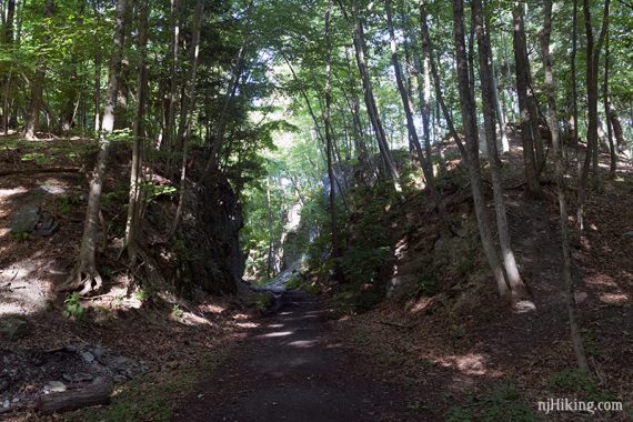 Rock cut on the Paulinskill Valley Trail.