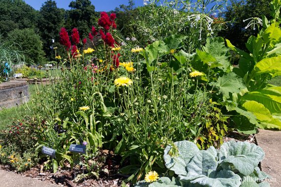 Garden Display.