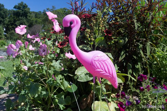 Pink flamingo sitting among flowers.