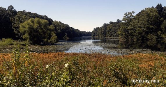 Davidsons Mill Pond with rust orange foliage in the foreground.