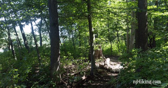 Farrington Lake Trail.