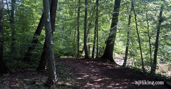 Flat dirt trail next to a stream.