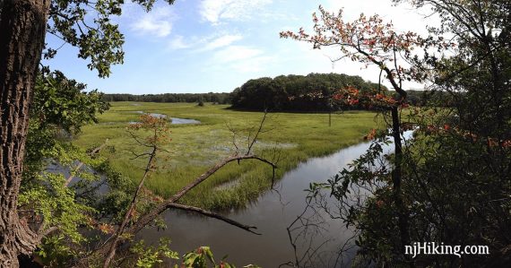 Stream through a grassy marsh.