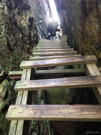 Hiker at the top of a tall wooden ladded in a narrow rock crevice.