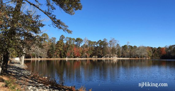 Blue sky over a lake with trees reflected.