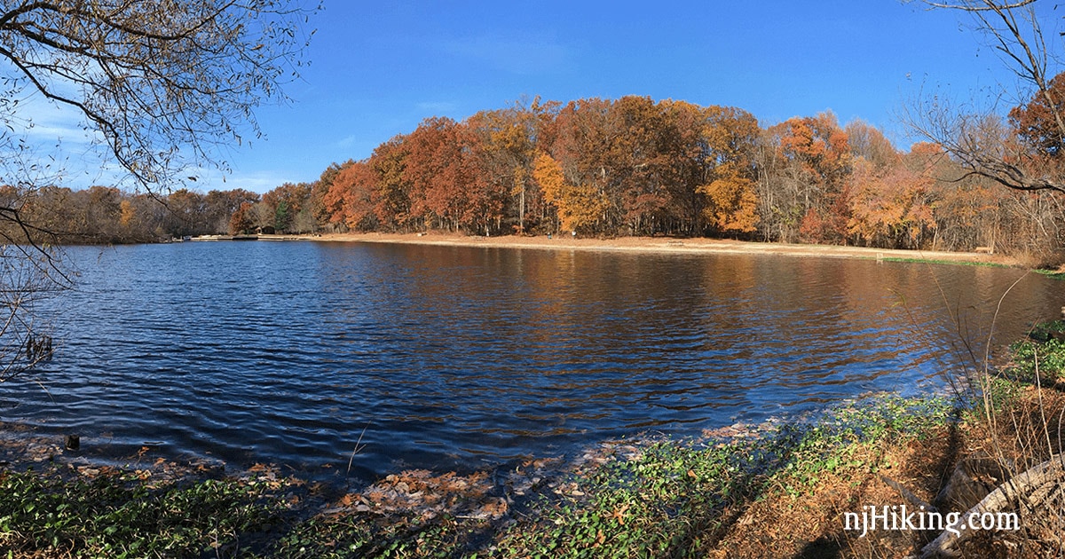 Turkey Swamp Park Map Turkey Swamp County Park | Njhiking.com
