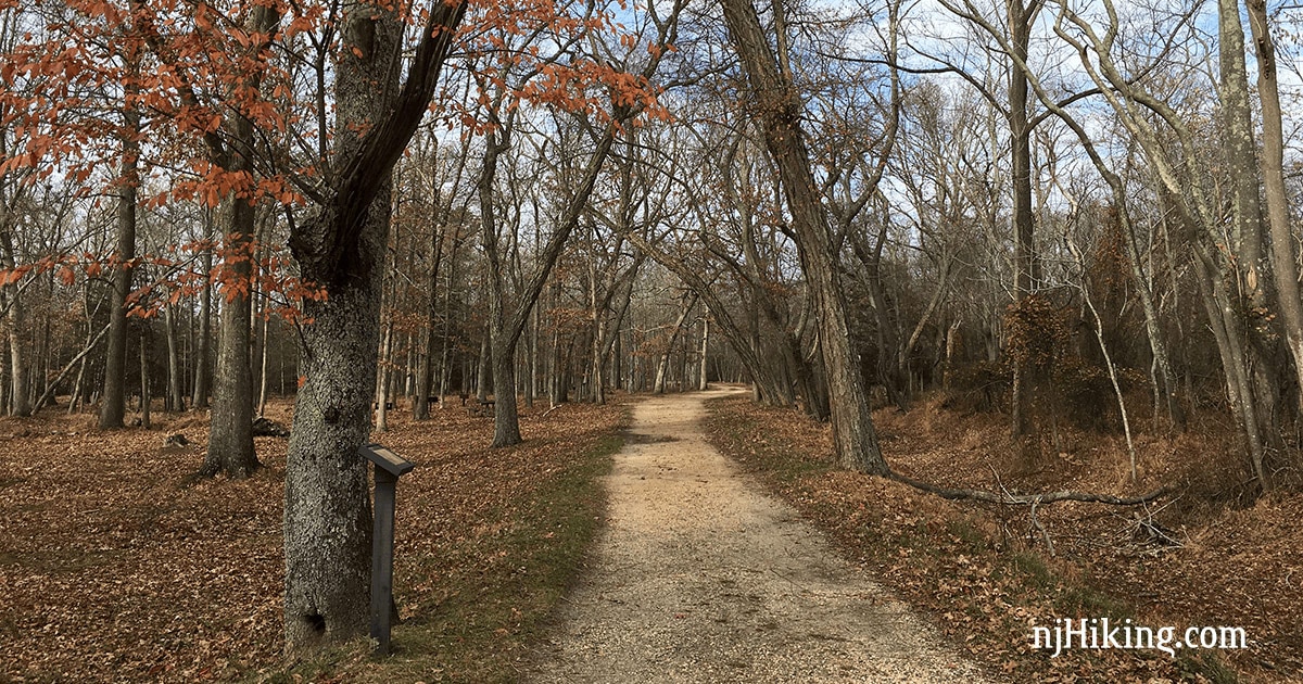 Allaire State Park njHiking