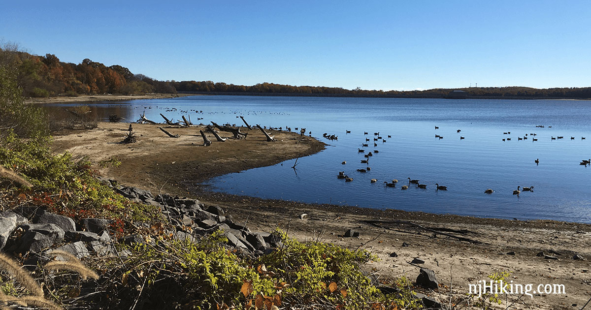 Manasquan Reservoir Trail Map Manasquan Reservoir | Njhiking.com