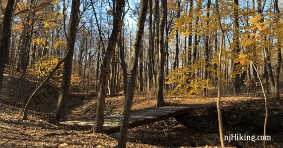 Wooden footbridge over a dry stream at Washington Crossing.