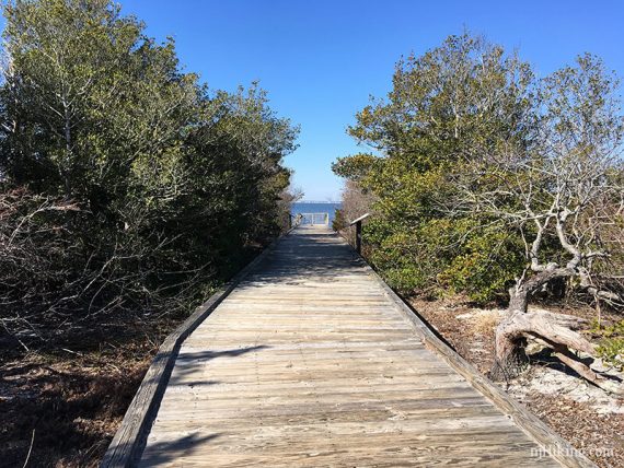 Boardwalk with trees on either side of Fisherman's Walkway