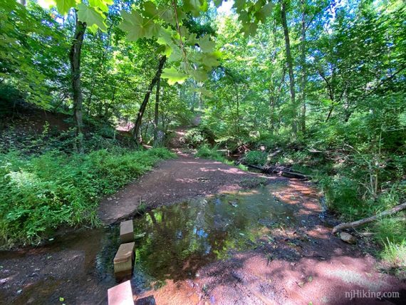 Cinder blocks placed to help with a stream crossing.