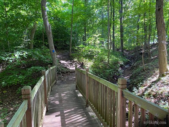 Wooden footbridge over a stream.