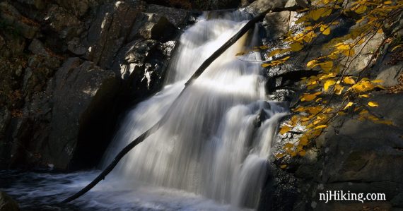 Close up of a waterfall with a branch in it.