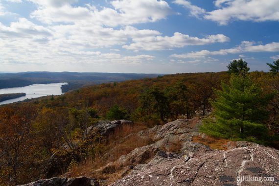 Greenwood lake seen beyond rust colored foliage and a lone evergreen tree.