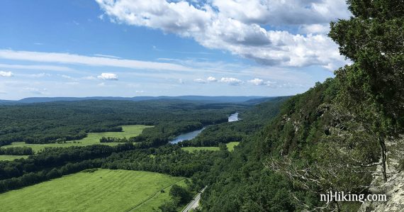 Light green field sections amongst forest seen from a cliff.