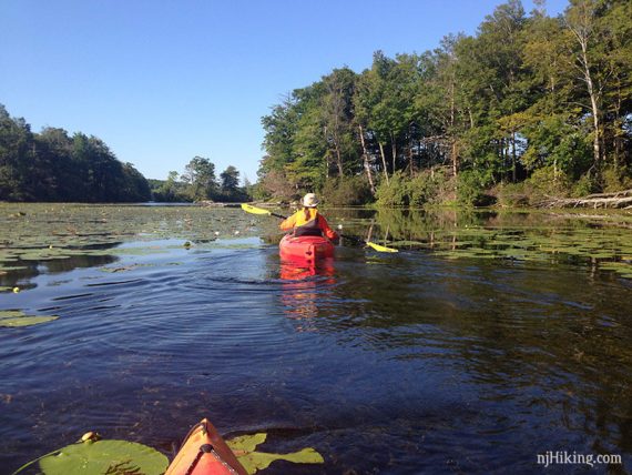 Kayaker approaching an island on a lake with lily pads in front.