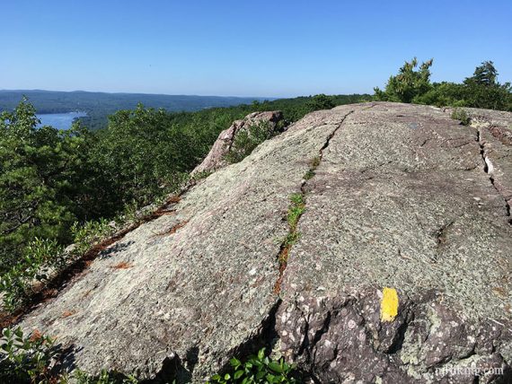 Yellow trail blaze on a large rock slab.