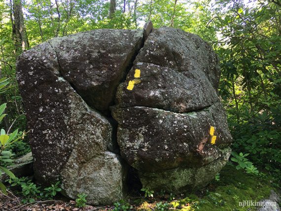 Large rock with yellow trail marker