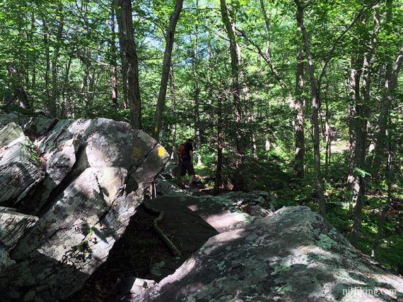 Yellow marker on a rock