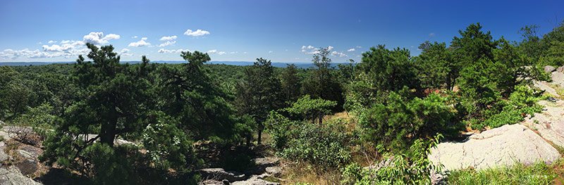 Panoramic view from Bearfort Ridge.