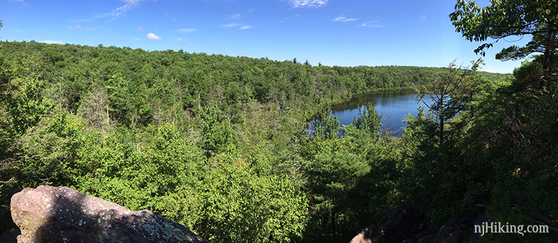 Small pond next to a large area of green trees.