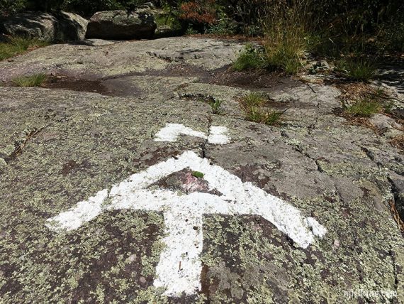 Appalachian Trail logo and N painted in white on a rock slab.
