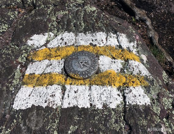 Geologic metal marked embedded in rock with white and yellow paint marks.