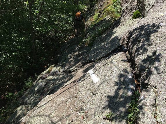 White trail marker on a slanted rock slab.