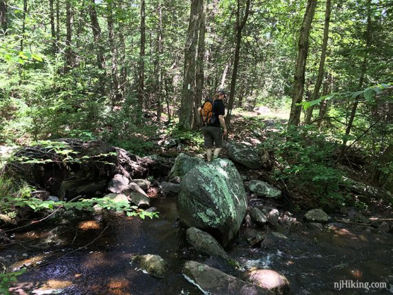 Crossing a stream on rocks