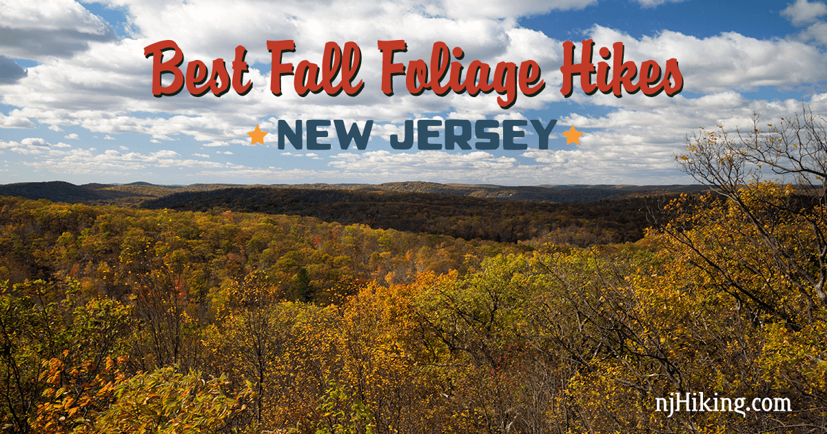 Best Fall Foliage Hikes in New Jersey