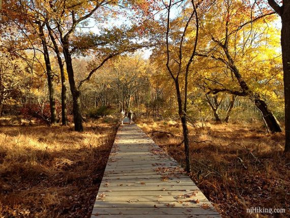 Hikers on a long boardwalk trail surrounded by rust and gold foliage.