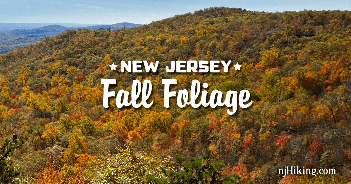 NJ Fall Foliage