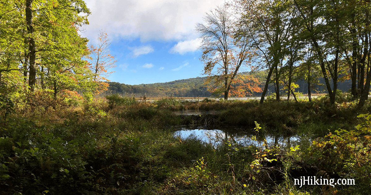Stokes – Blue Mountain Loop – Lower | njHiking.com