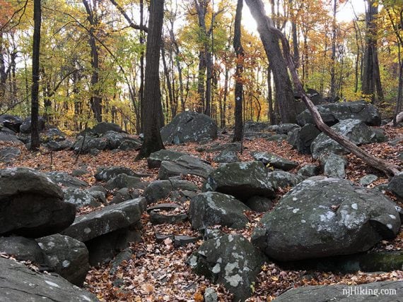 Large boulder field along a trail in Autumn.