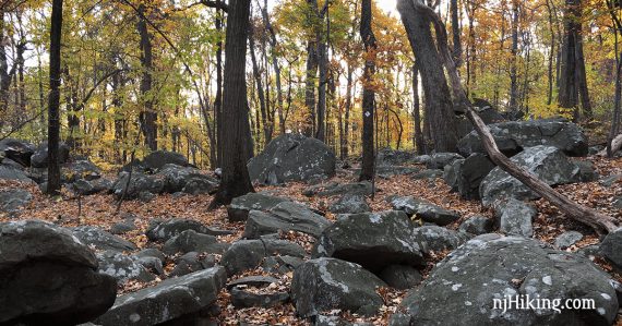 Trail filled with large boulders.