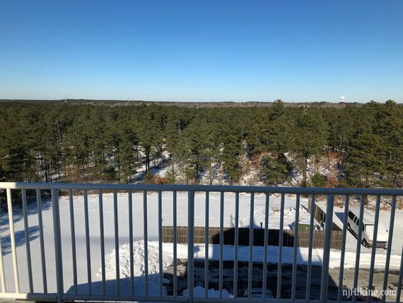 View from an observation deck over pine trees.