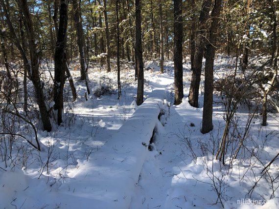 Plank trail boardwalk covered with mounds of snow.