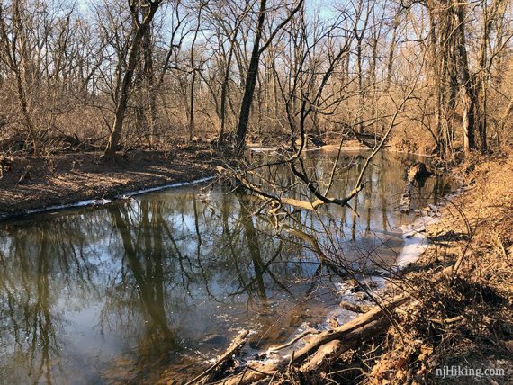 Stony brook with ice.