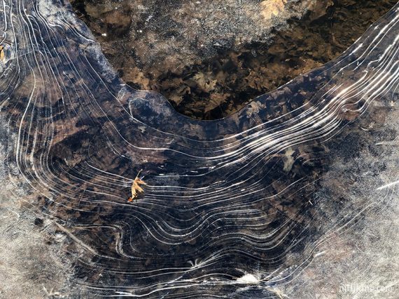 Ice patterns on a stream.